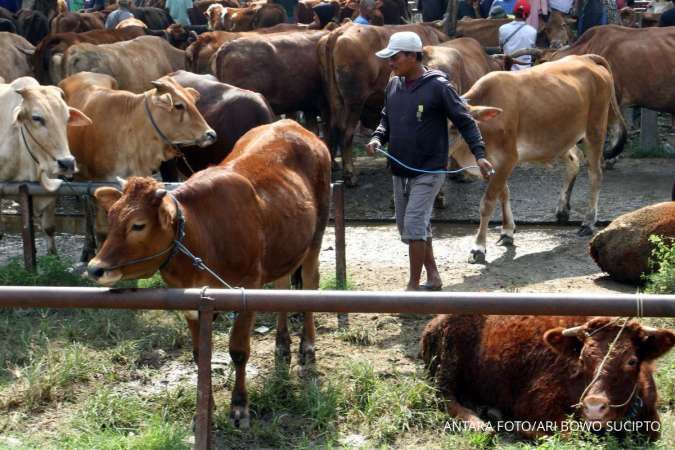 Idul Adha, Cek Syarat Pemotongan Hewan Kurban yang Baik dan Benar dari Kementan