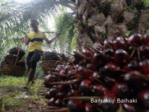 Lonjakan harga CPO ikut mendorong harga saham AALI