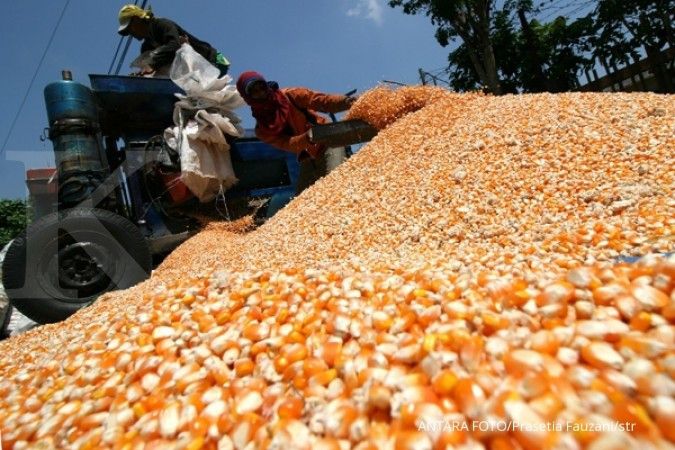 1,2 juta ton jagung impor akan banjiri Indonesia