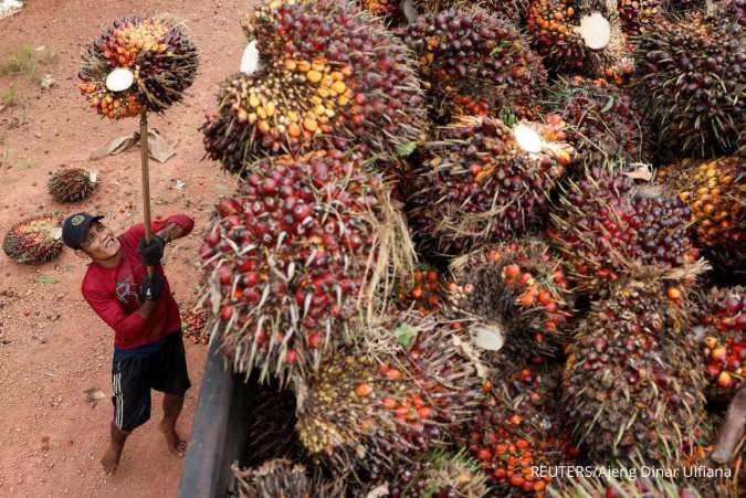 Cermati Rekomendasi Saham Emiten Sawit Berikut, Ada AALI, DSNG, NSSS & TAPG