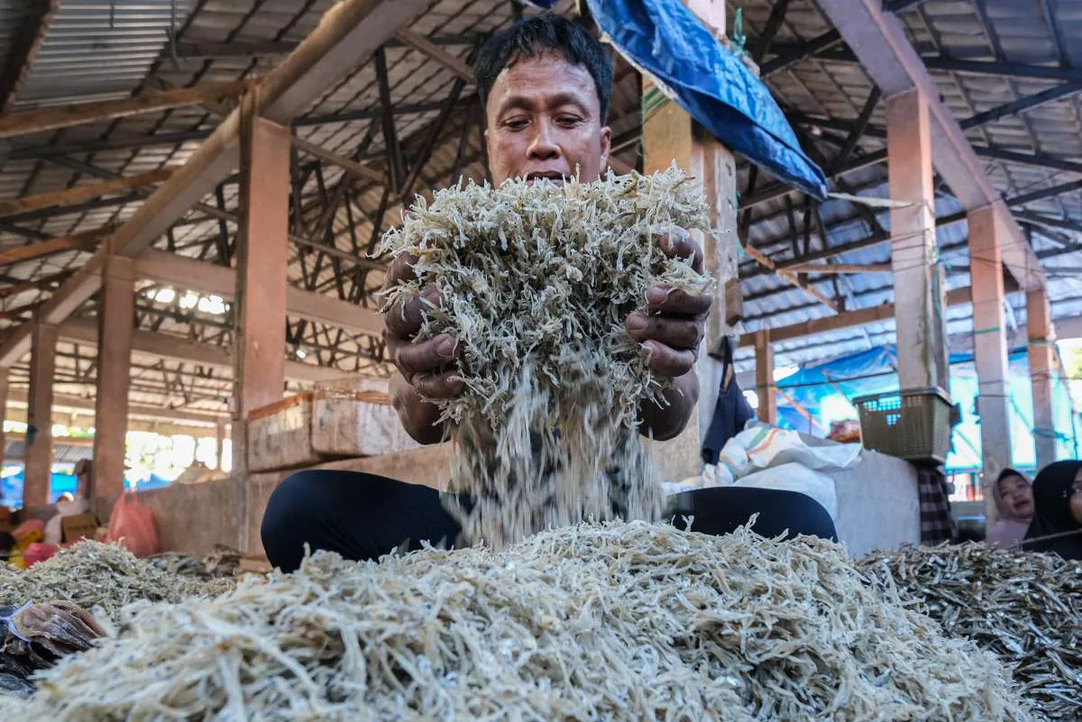 Bidik Laba Rp 10,03 Miliar di 2025, Jamkrida Kaltim Siapkan Strategi Berikut!