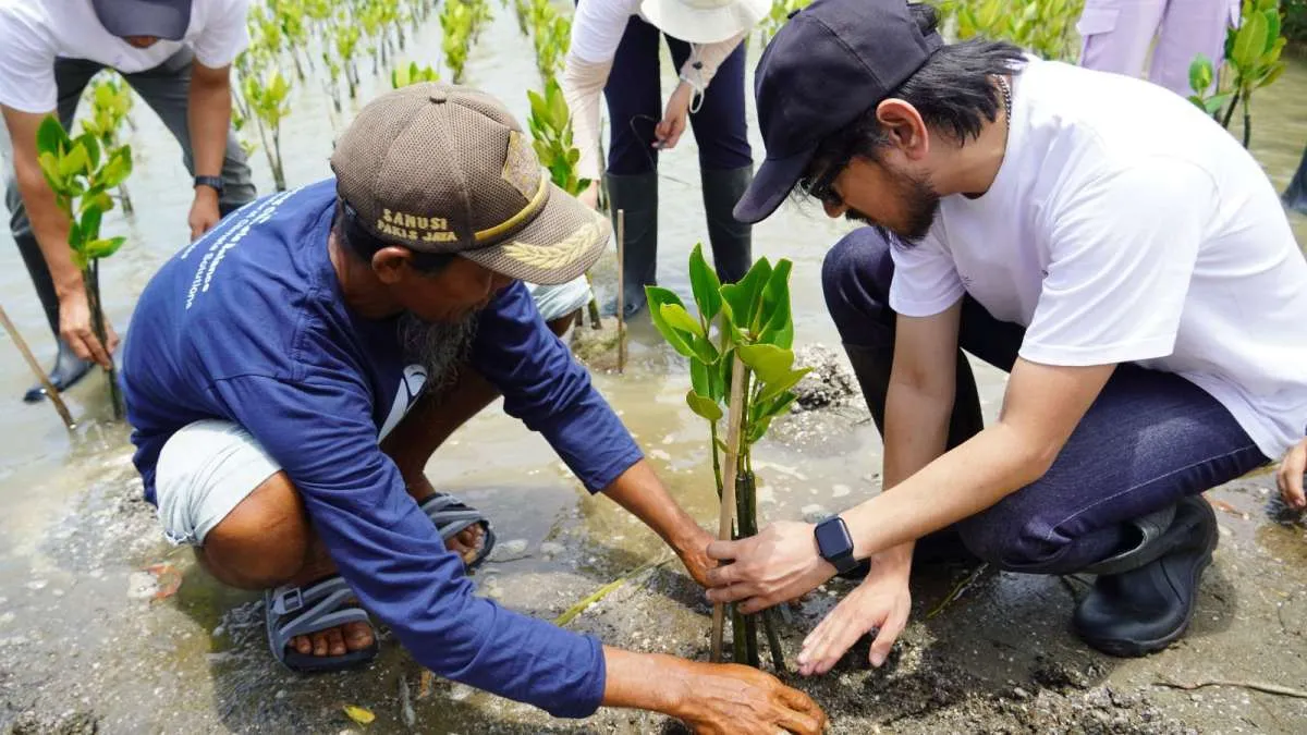 Ribuan Mangrove Ditanam untuk Pulihkan Pesisir Tanjung Pakis dari Abrasi