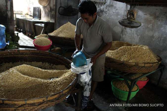 Stok Kedelai Surplus 176.000 Ton hingga Maret 2026, Pasokan Aman Jelang Lebaran