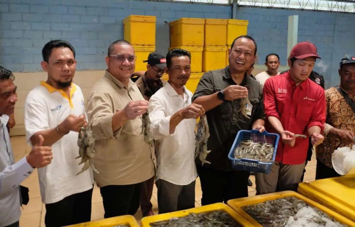 Sebanyak 219 petambak udang Bratasena binaan Pertamina ikuti sertifikasi