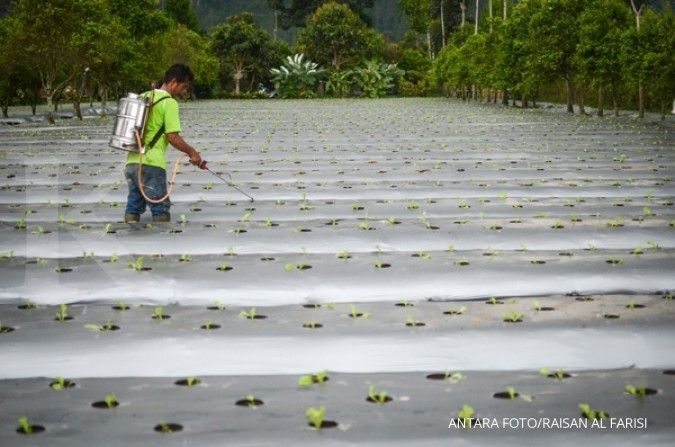 Sampai November, Indonesia impor sayuran sampai senilai US$ 97,6 juta