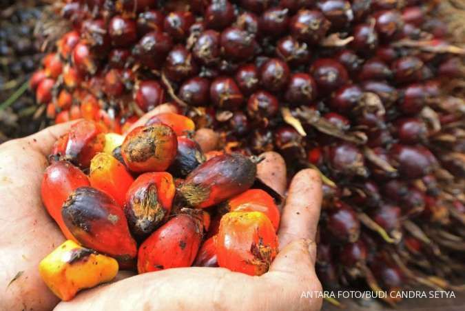 Top Palm Oil Buyer India's April Imports Fall to 14-Month Low - Dealers