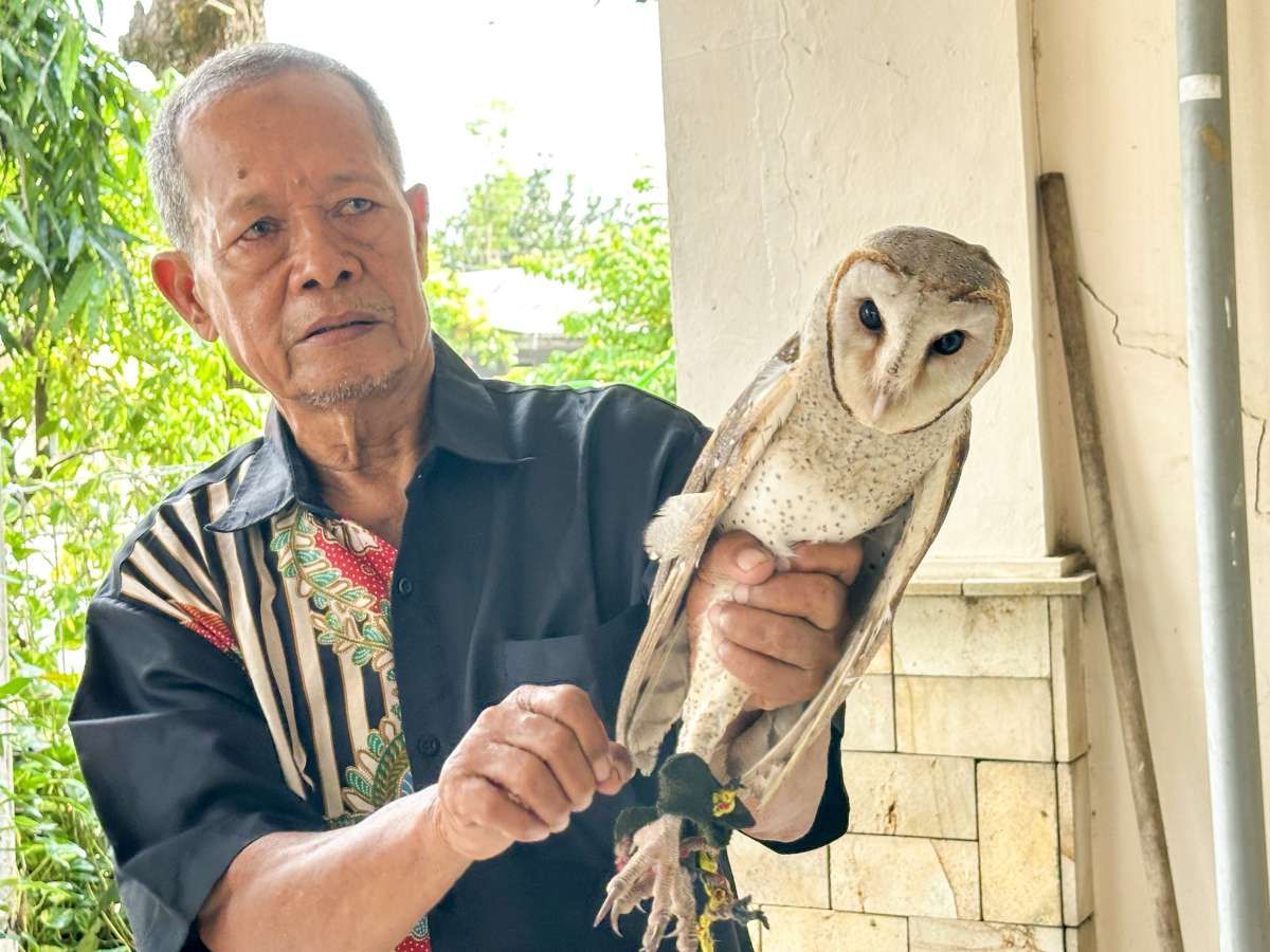 Rubuha, Cara Petani Basmi Hama Tikus
