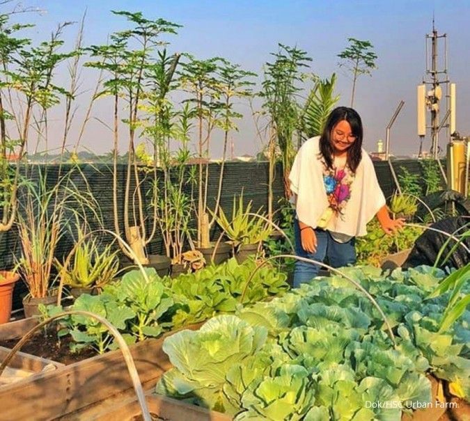 Berkebun sayuran di antara gedung pencakar langit