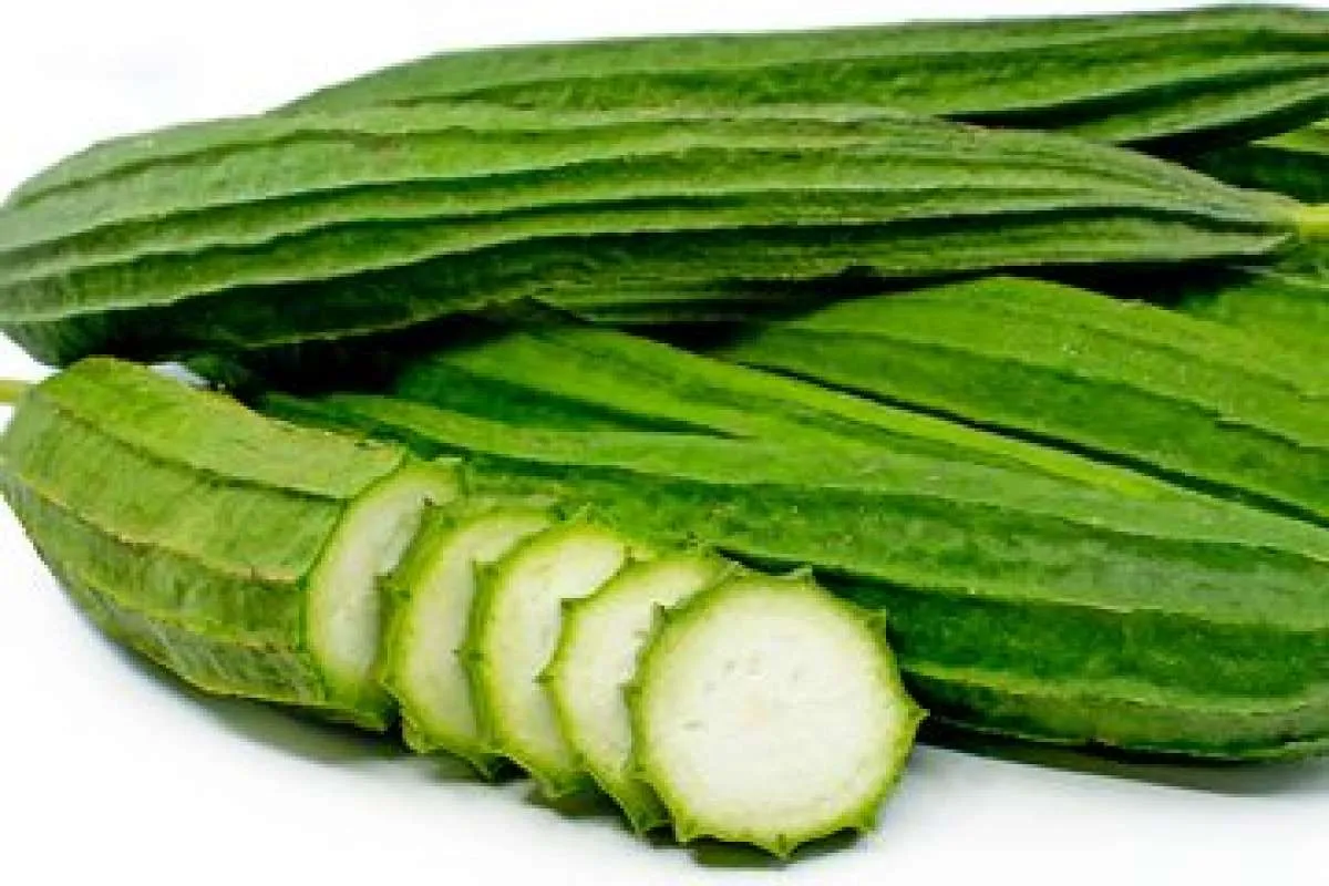 Berbagai Manfaat Oyong untuk Tubuh, Bisa untuk Menurunkan Berat Badan