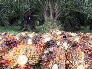 Setelah empat hari tertekan, CPO rebound hari ini