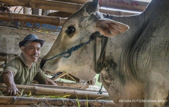 PPSKI: Asuransi ternak sapi sulit diterapkan ke peternak rakyat