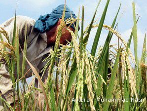 2010, Pemerintah Gelontorkan Subsidi Pupuk dan Benih