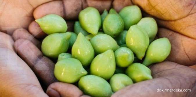 Kaya Akan Antioksidan, 6 Manfaat Kakadu untuk Perawatan Kulit