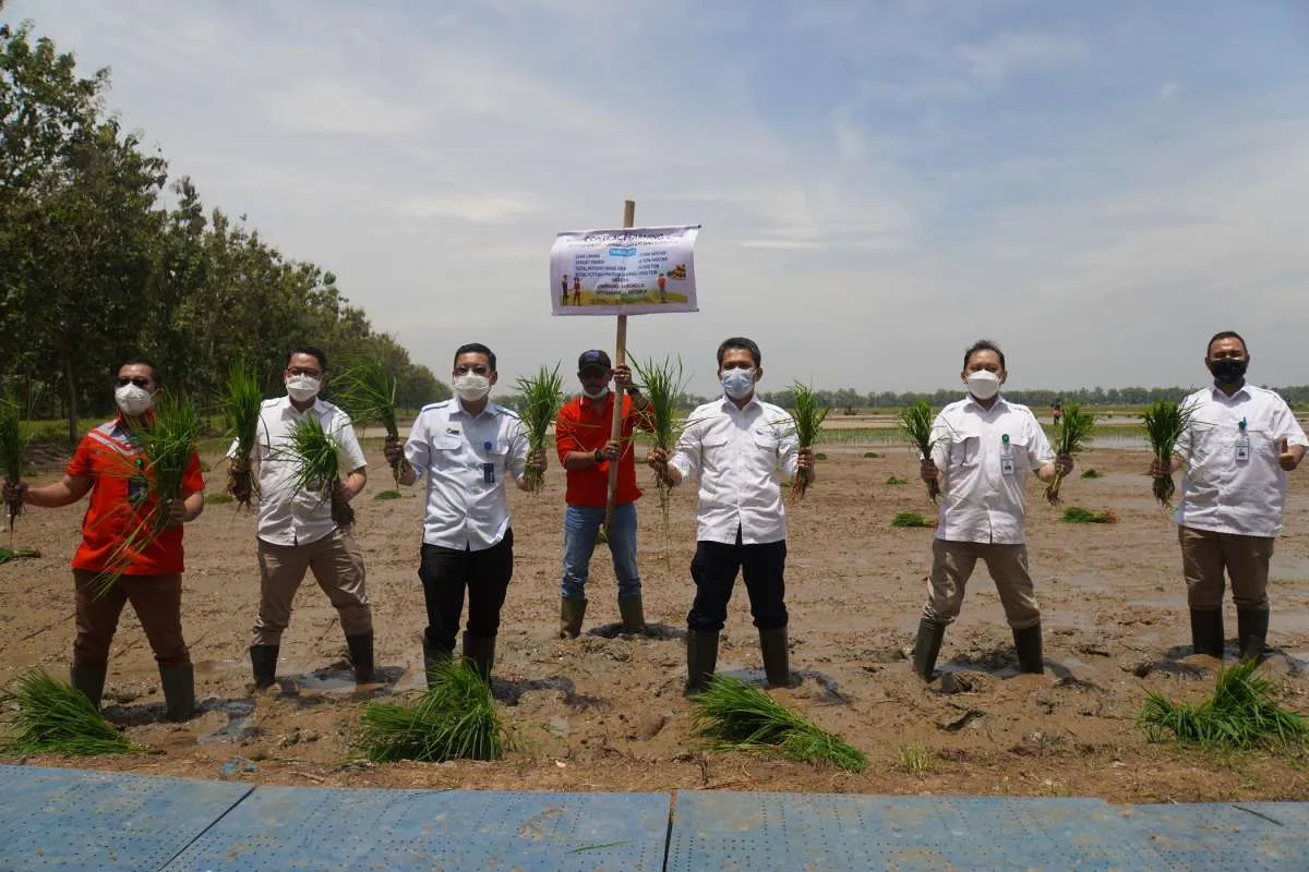 Sang Hyang Seri Cek Kesiapan Produksi Benih Padi dan Beras di Solo Raya