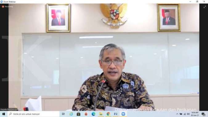 Upaya KKP Wujudkan Swasembada Garam dan Tekan Impor