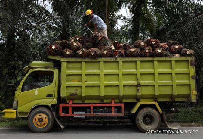 Produksi CPO Asia Tenggara diprediksi turun pada 2025–2026, Ini Sebabnya