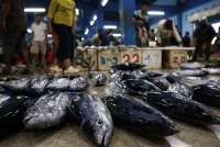 KKP Susun Rancangan Perpres Gemarikan untuk Wujudkan Kedaulatan Pangan