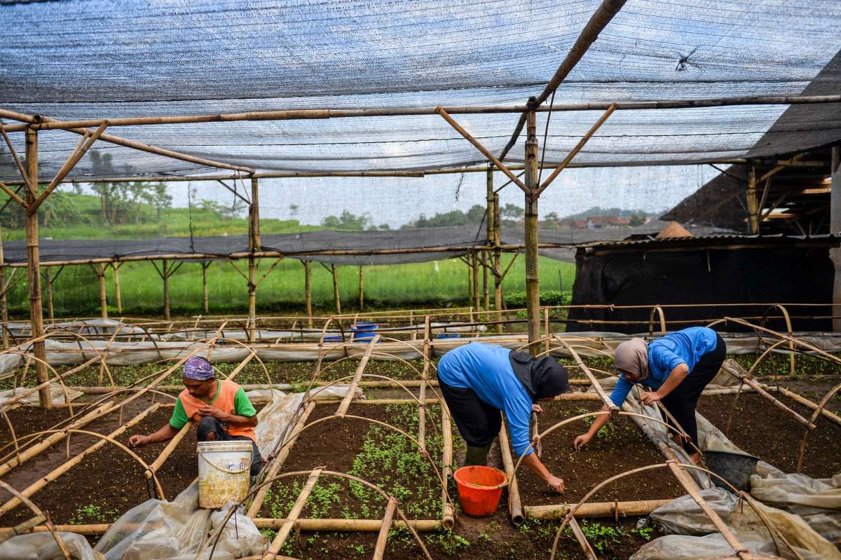 Marsinah dan Krisis Lapangan Kerja Layak