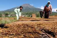Kadin Jatim sebut revisi PP 109 mengancam keberlangsungan industri tembakau