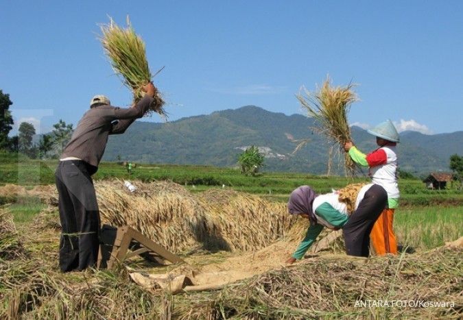BASF keluarkan produk baru untuk tanaman padi