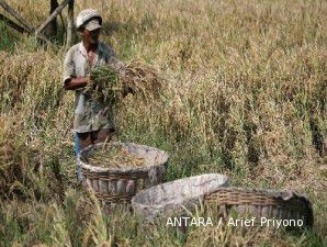 Panen berhasil, harga gabah melesat