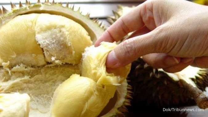 Durian Mengandung Kolesterol Tinggi? 