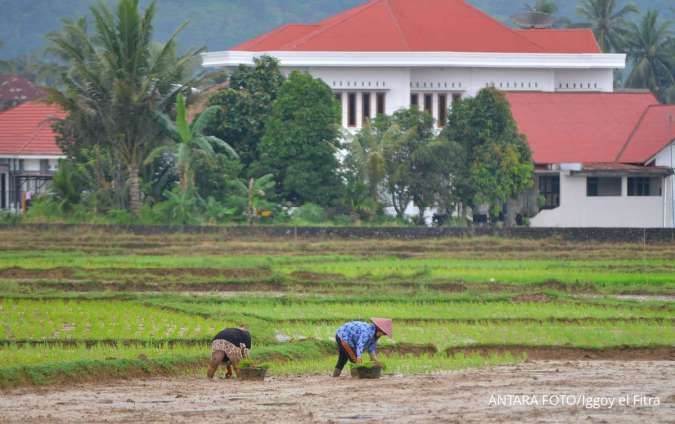 BPS: Hanya Lapangan Usaha Pertanian yang Kontraksi pada Kuartal I-2024