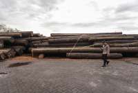 Mengeruk Pajak Sektor Ilegal, Pembenahan Tata Kelola Jadi Tantangan Utama