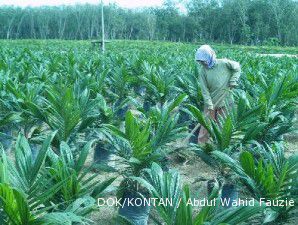 BRI salurkan kredit Rp 1,07 triliun untuk PTPN II