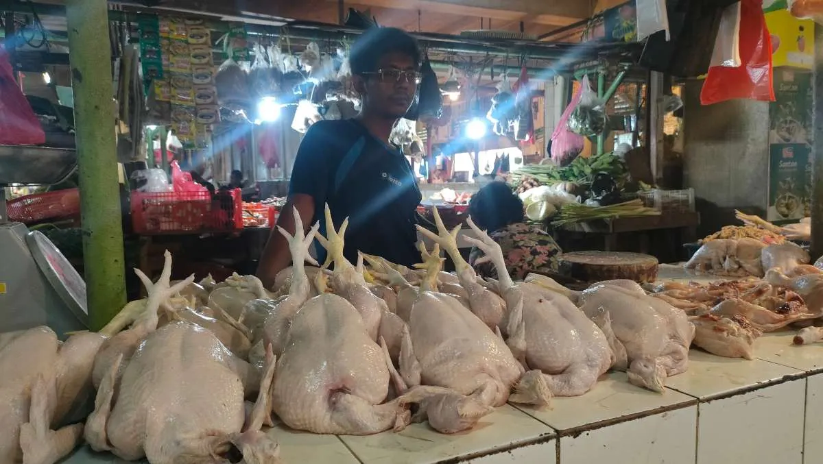 Selalu Jadi Menu Utama Khas Lebaran, Ini Manfaat Daging Ayam Untuk Kesehatan