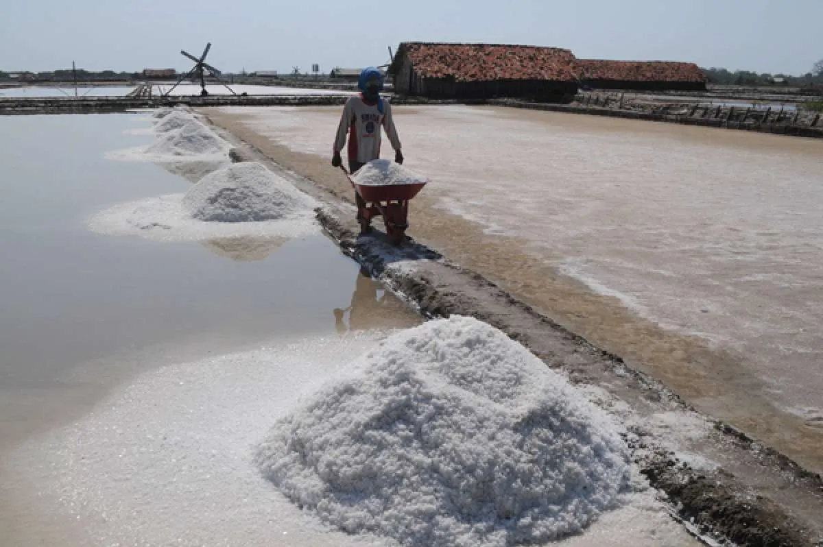 Simak strategi PT Garam memenuhi kebutuhan garam industri di dalam negeri 