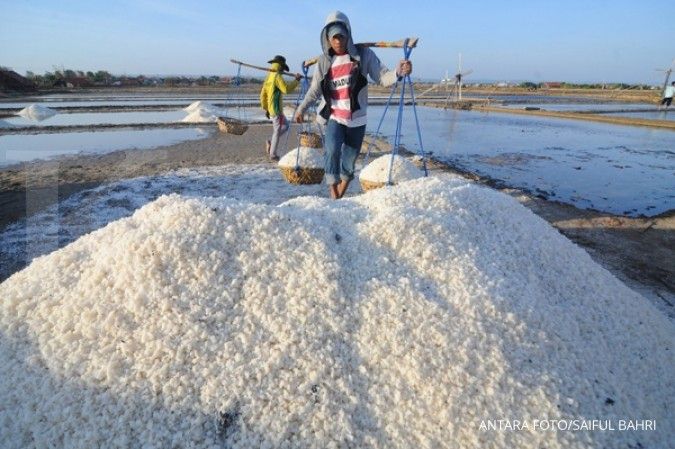 Pemerintah verifikasi ulang stok garam sebelum melakukan impor