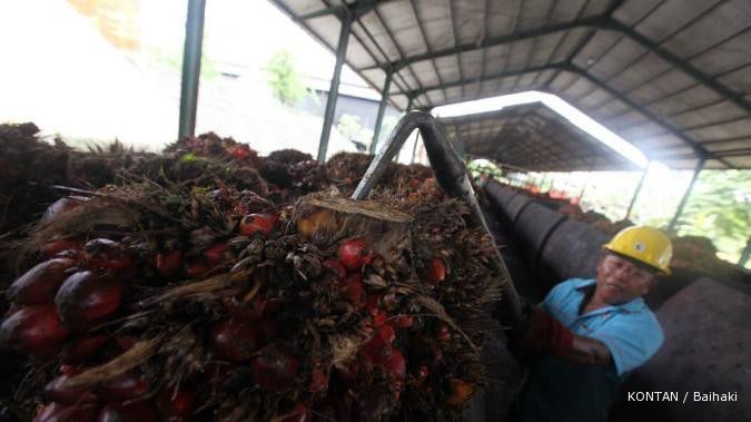 IOI berencana bangun kilang sawit di Kalimantan