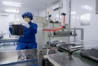 Primadaya Plastisindo (PDPP) Tebar Dividen Rp 3,57 Miliar, Setara Rp 1,17 per Saham