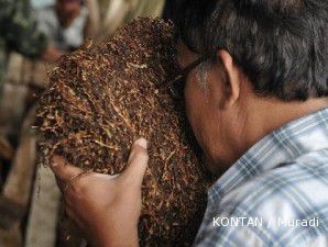 Ekspor naik, harga tembakau ikut terdongkrak