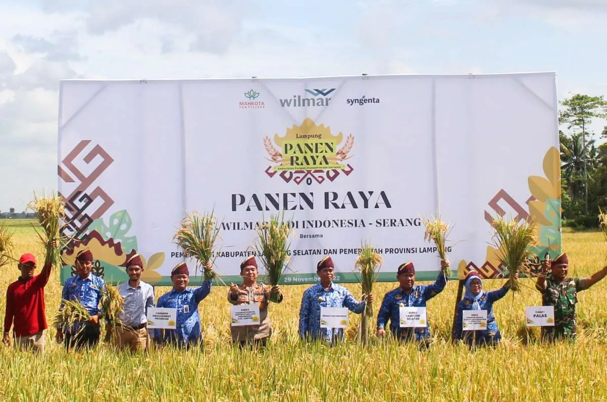 Penerapan Praktik Pertanian yang Baik Jadi Kunci Tingkatkan Produksi Padi