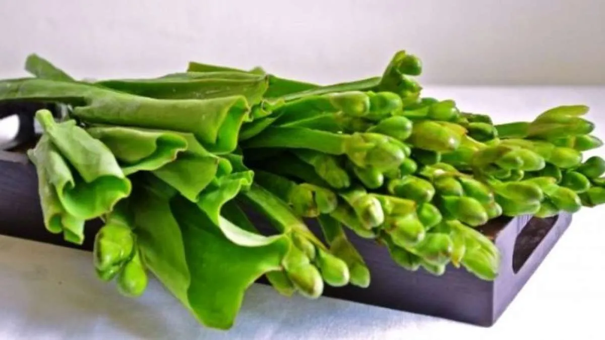 Mengontrol Tekanan Darah, Sederet Manfaat Genjer untuk Kesehatan