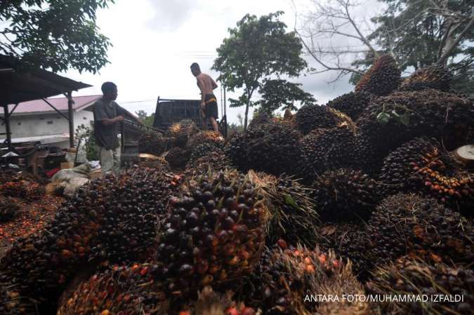 Gapki Ungkap Indonesia Belum Bisa Atur Harga Minyak Nabagi Dunia