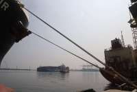 GINSI Kritik Kebijakan Batas Pengambilan Container, Rugikan Pelaku Usaha