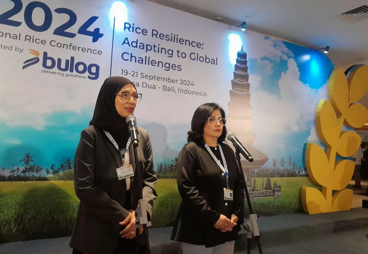 Harga Beras Indonesia 20% Lebih Mahal dari Harga Global, Bapanas: Biaya Produksi Naik