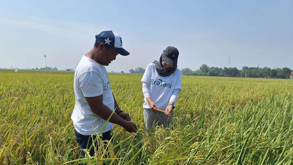 Upaya Eratani Terus Mendorong Petani Milenial Agar Regenerasi