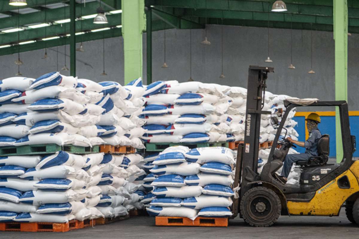Petani Menjerit: Stok Pupuk Subsidi Bablas, Non-Subsidi Amblas