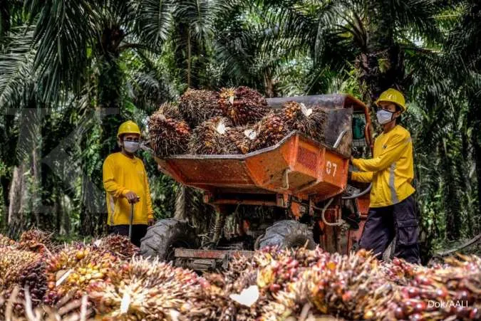 Astra Agro's (AALI) Profit Falls 38.8% to IDR 1.05 Trillion in 2023