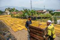 Minimalkan Risiko NPL UMKM yang Tinggi, Perusahaan Penjaminan Bisa Terapkan Upaya Ini