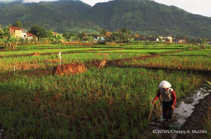 Agrinas Pangan Menjadi Pengelola Lumbung Pangan