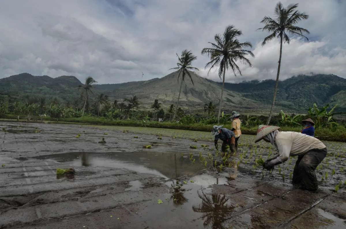 Polbangtan YoMa dukung target Kementan ciptakan 2,5 juta petani milenial 