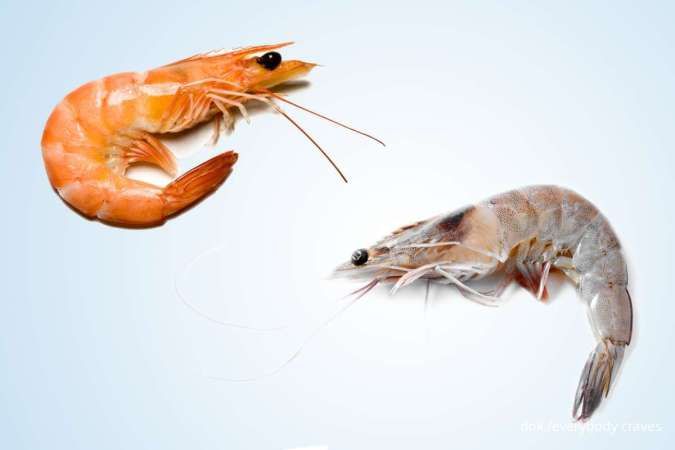 Shrimp vs Prawn, 7 Perbedaan Jenis Udang dari Bentuk hingga Habitatnya