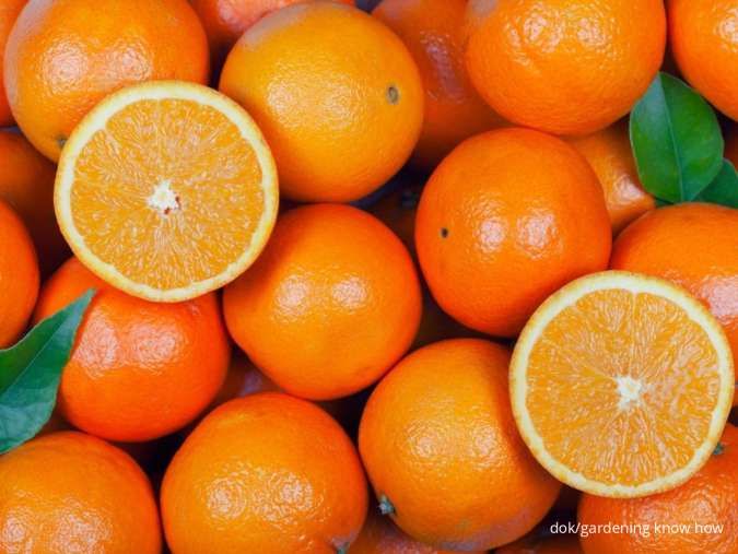 Diet Ramah Diabetes dengan Konsumsi 8 Buah Sehat Ini secara Rutin 