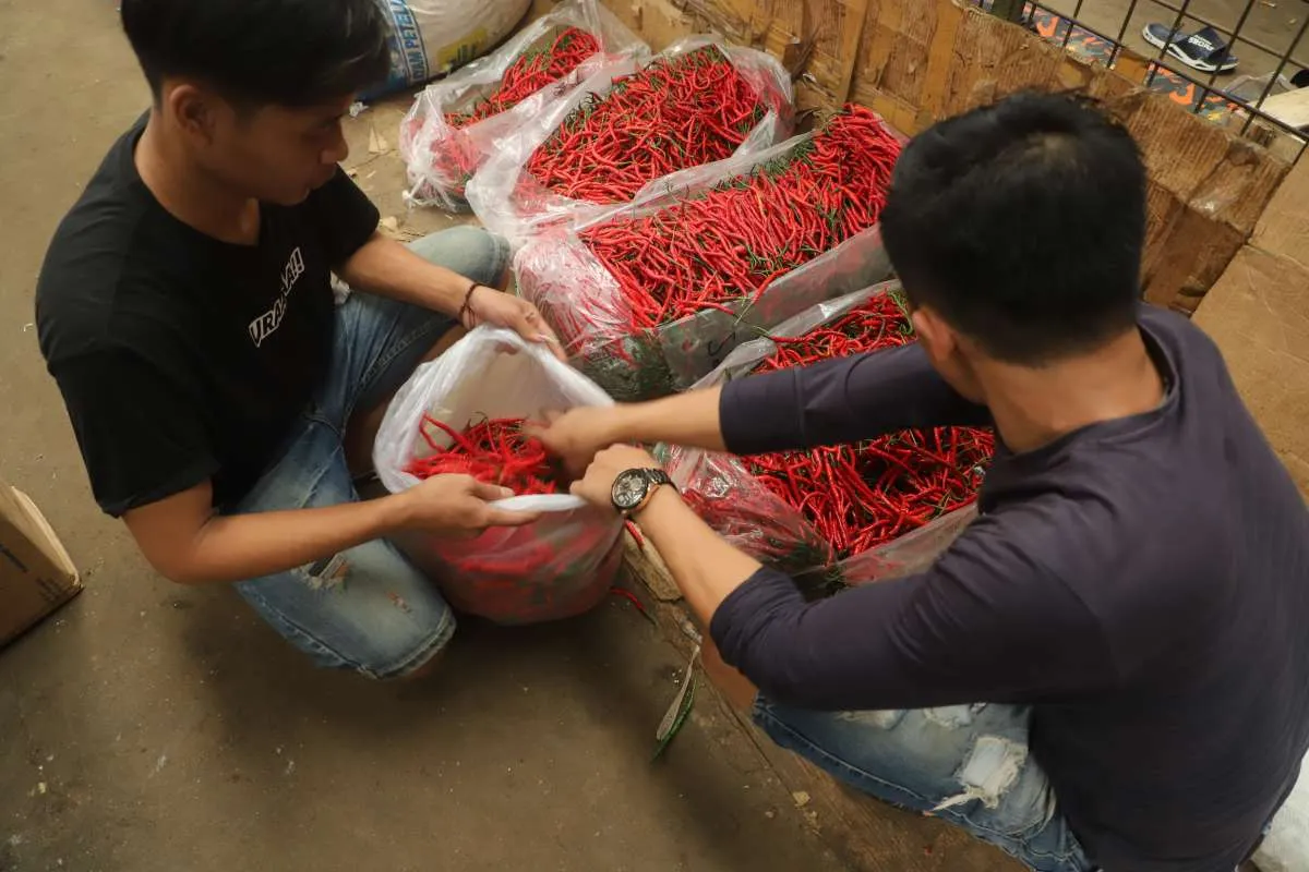 Harga Pangan Kalteng : Cabai Merah Keriting, Bawang, dan Ikan Naik, Jumat (20/12)