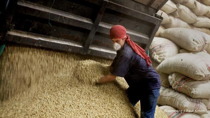 Mulai April, produksi kopi Indonesia akan naik 38%